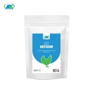 MX - ANTIGUM