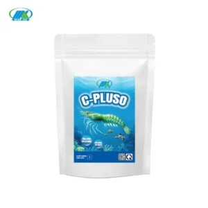CM 6567 C - PLUSO