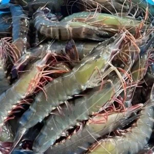 Thủy sản